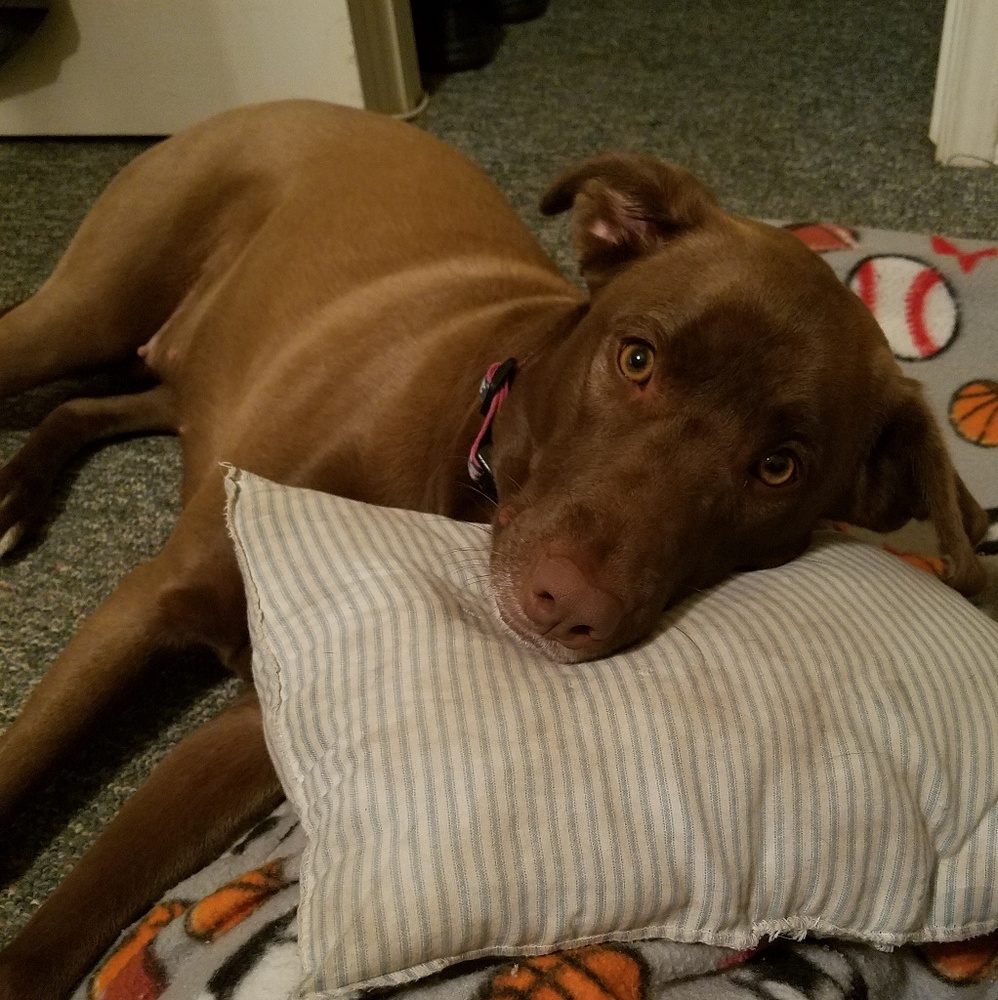 Meet your Posher, Cassie